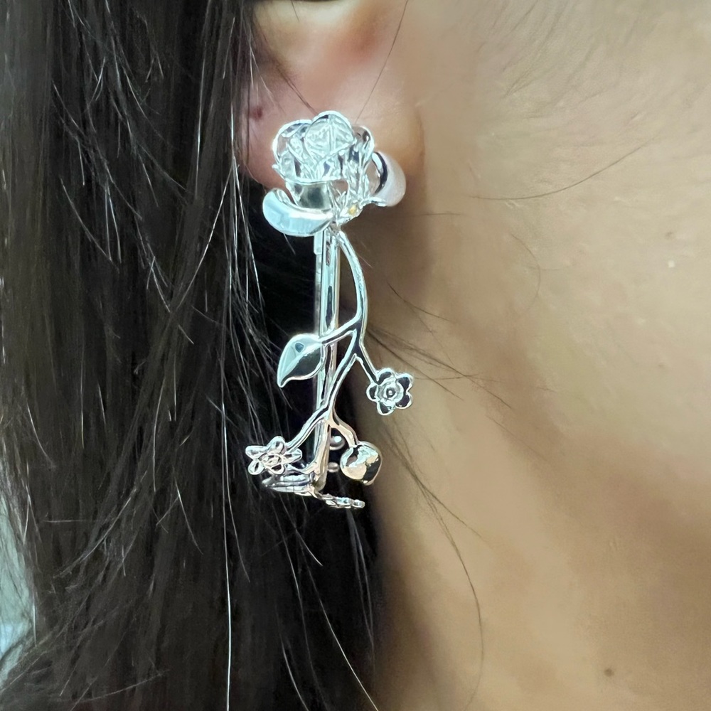 Silver Earrings